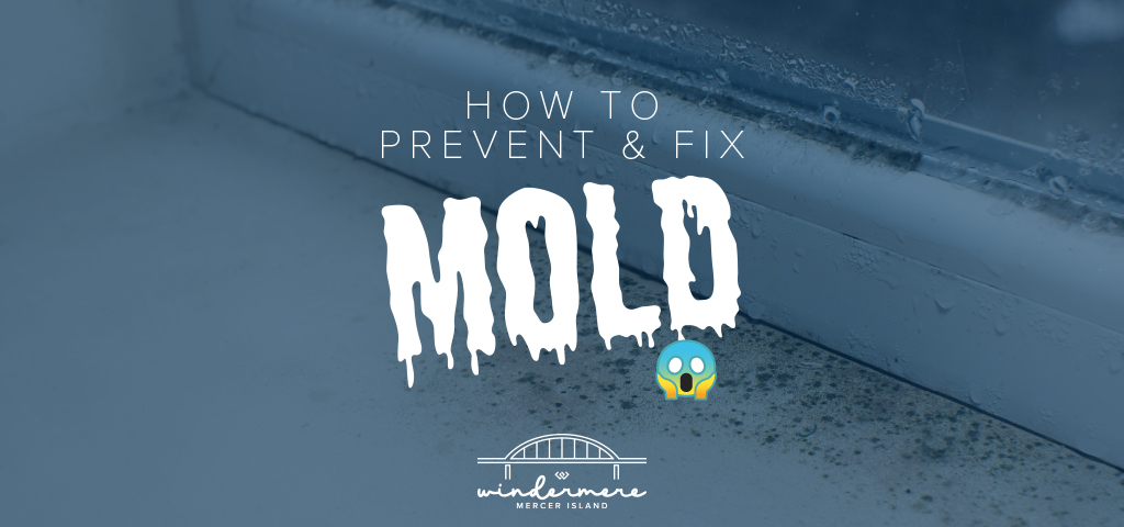 How to Prevent and Fix Mold